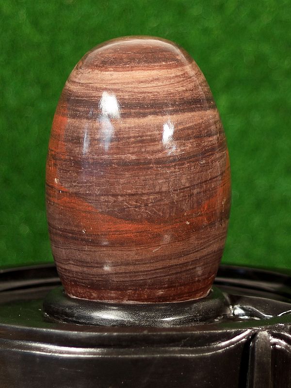 Chakra Releasing Linga Narmada River Shiva Lingam Exotic India Art