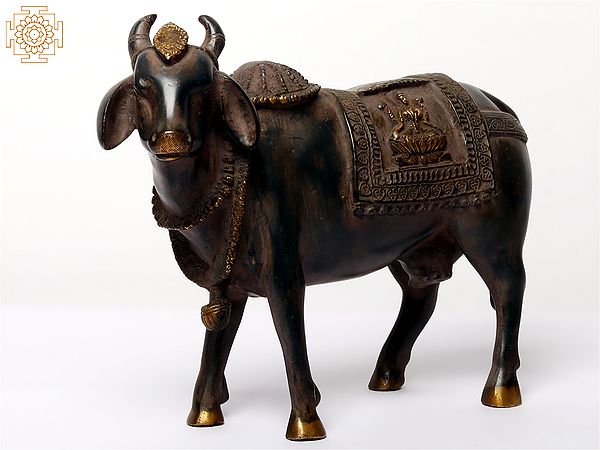 11" Kamdhenu Cow | Brass Satue