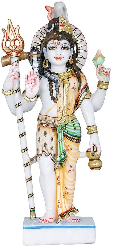 Ardhanarishvara (Shiva Shakti)