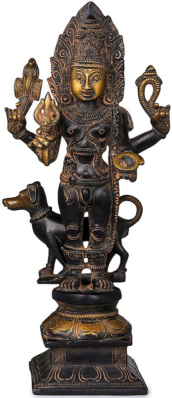 11" Lord Shiva as Bhairava Statue in Brass | Handmade | Made in India