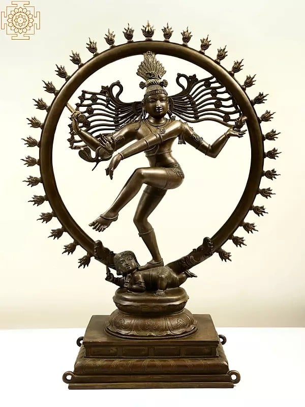 32" Superfine Bronze Nataraja | Handmade | Madhuchista Vidhana (Lost-Wax) | Panchaloha Bronze from Swamimalai