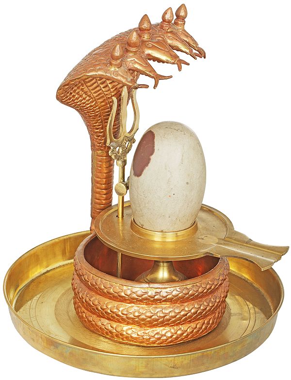 Shiva Linga Abhisheka Set