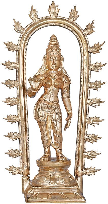 The Resplendence Of Devi Uma Within The Prabhavali
