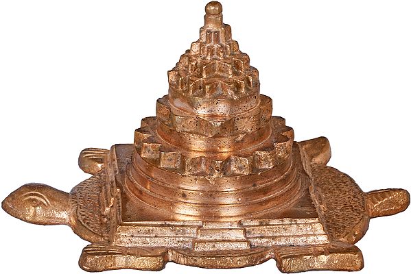 Accurate Shri Yantra on Tortoise in Copper For Vastu