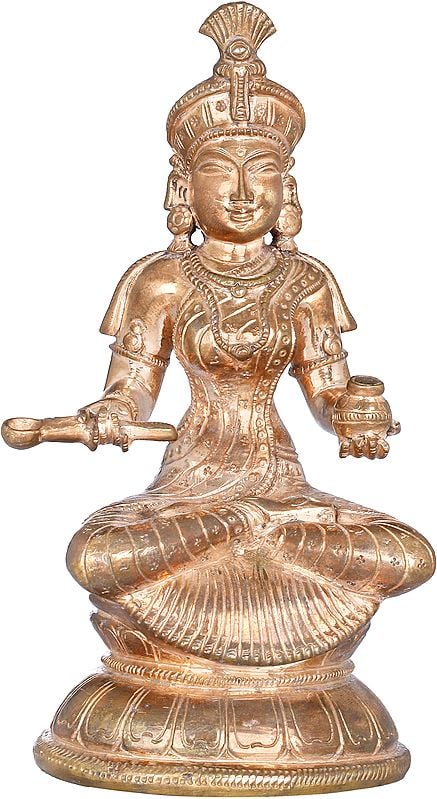 Annapurna Devi - The goddess of Food and Nourishment