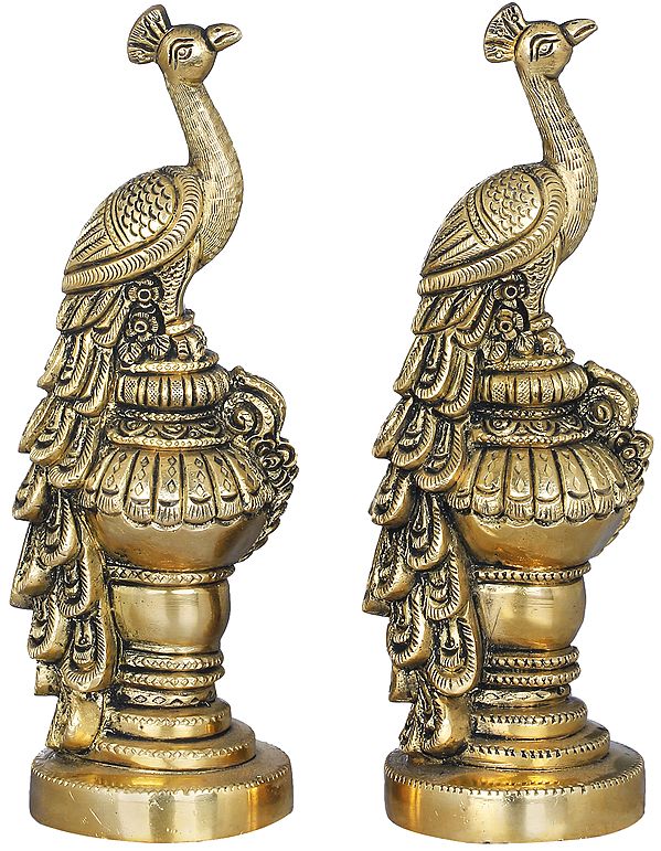 7" Pair of Peacocks In Brass | Handmade | Made In India