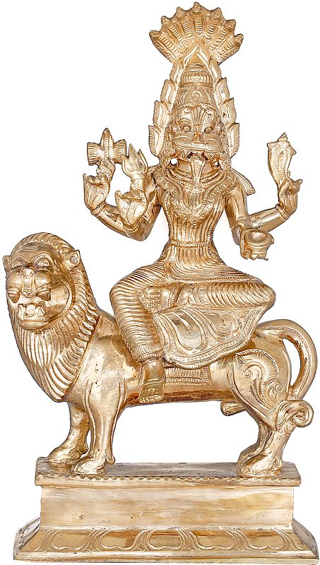 Goddess Pratyangira (Atharvana Bhadrakali)
