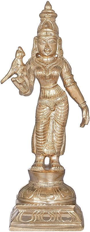 6" Devi Andal | Handmade | Madhuchista Vidhana (Lost-Wax) | Panchaloha Bronze from Swamimalai
