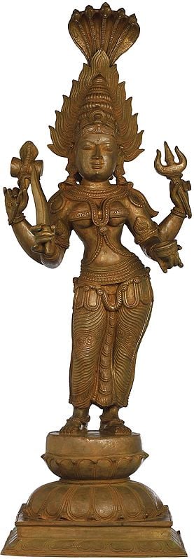 Mariamman (South Indian Goddess Durga)