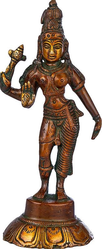 6" Ardhanarishvara (Shiva Shakti) In Brass | Handmade | Made In India