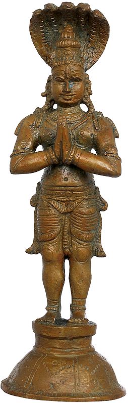 6" Naga Bhagawan | Handmade | Madhuchista Vidhana (Lost-Wax) | Panchaloha Bronze from Swamimalai