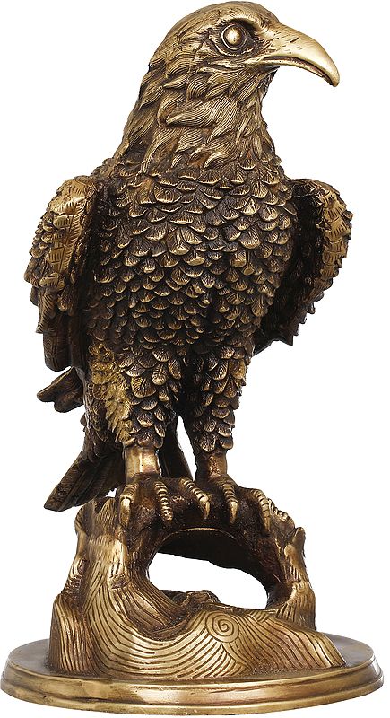 Brass Falcon Sculpture Showpiece | Eagle Brass Statue