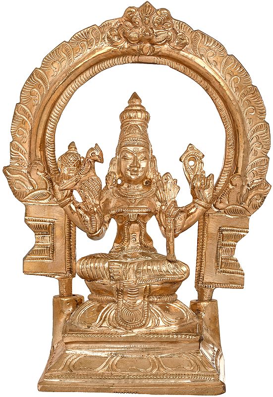 Goddess kamakshi
