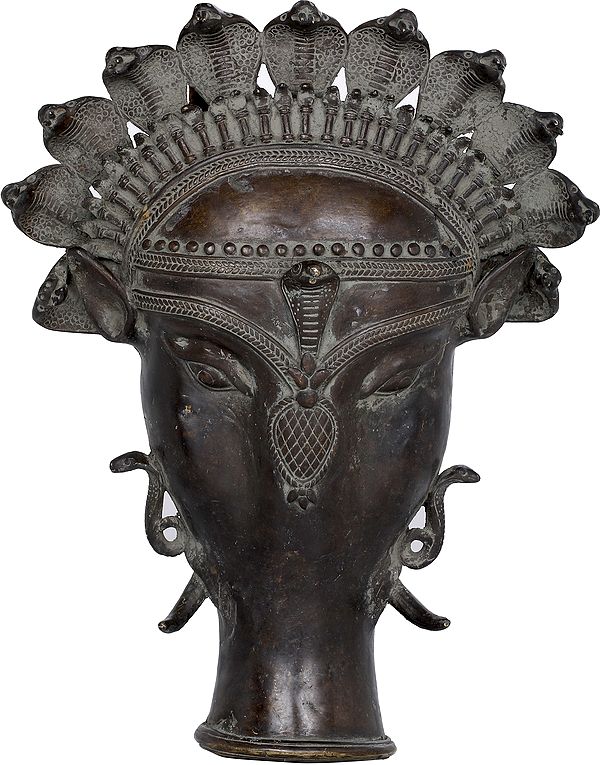 Varaha Mask Wearing Serpents Crown (The Boar Inacrnation Of Lord Vishnu)