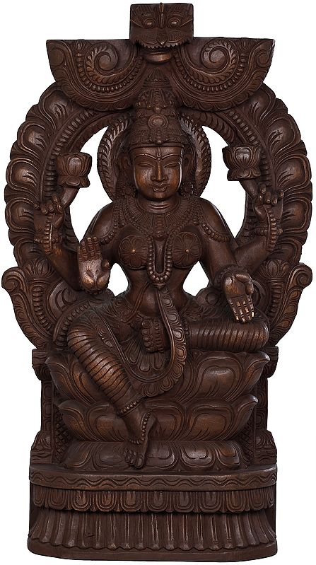 Devi Lakshmi - The Goddess who Gives Wealth