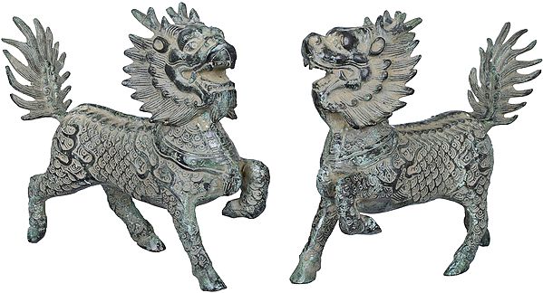 Pair of Tibetan Buddhist Temple Lions