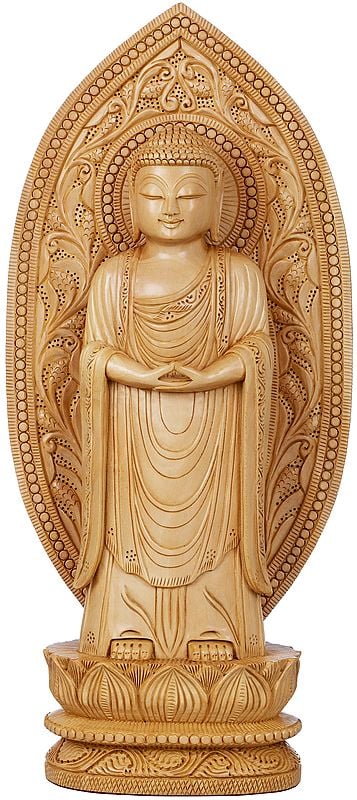 Standing Buddha in Japanese Aesthetics - Tibetan Buddhist