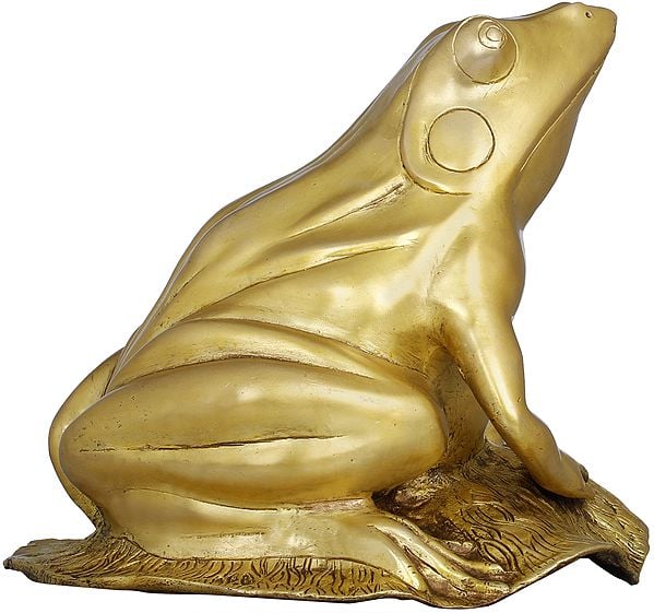 8" Feng Shui Frog In Brass | Handmade | Made In India