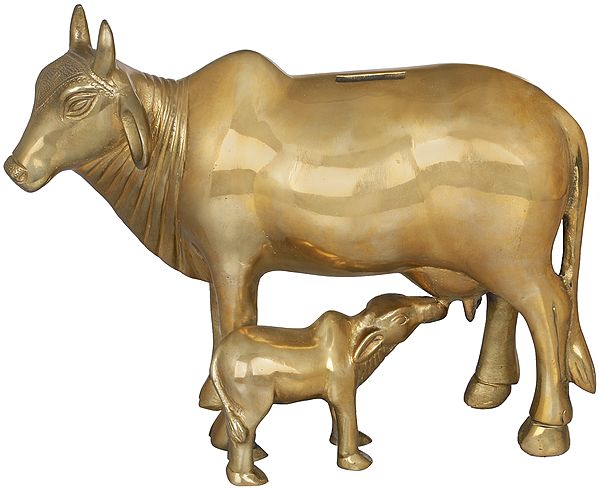 7" Cow and Calf Gullak In Brass | Handmade | Made In India