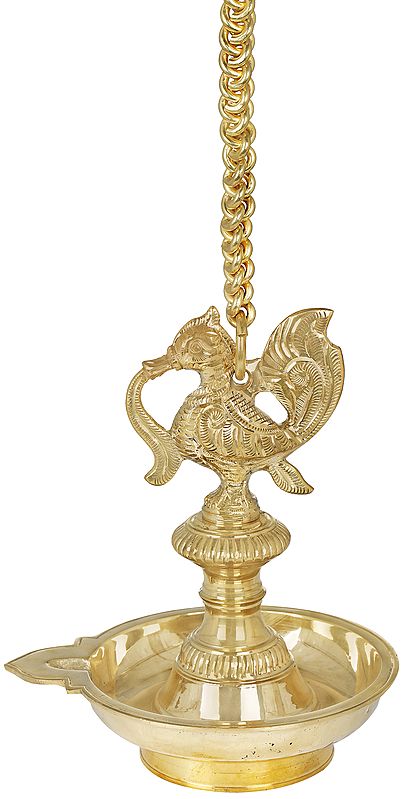 Roof Hanging Peacock Lamp From South India