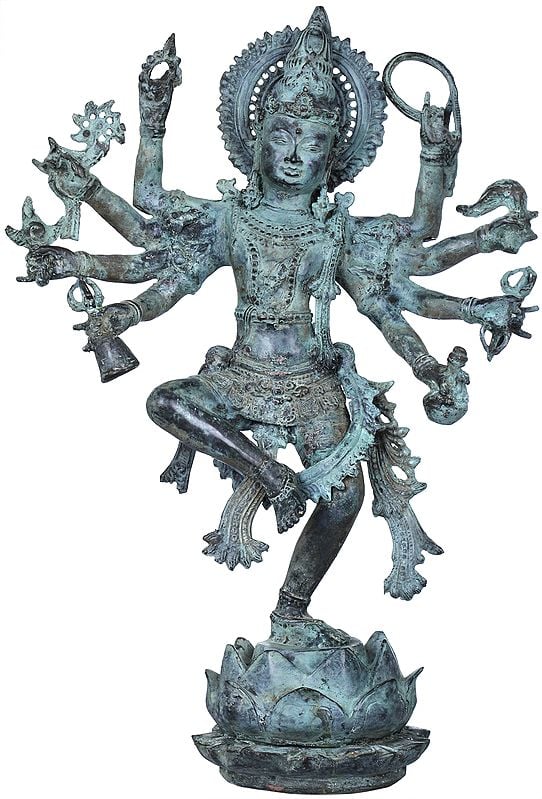 Lord Shiva Dances Upon The Mouth Of A Lotus