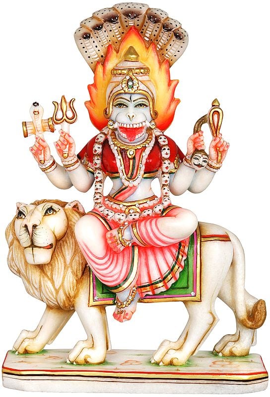 Atharvana Bhadrakali, The Presiding Deity of Atharvaveda (Goddess Pratyangira)