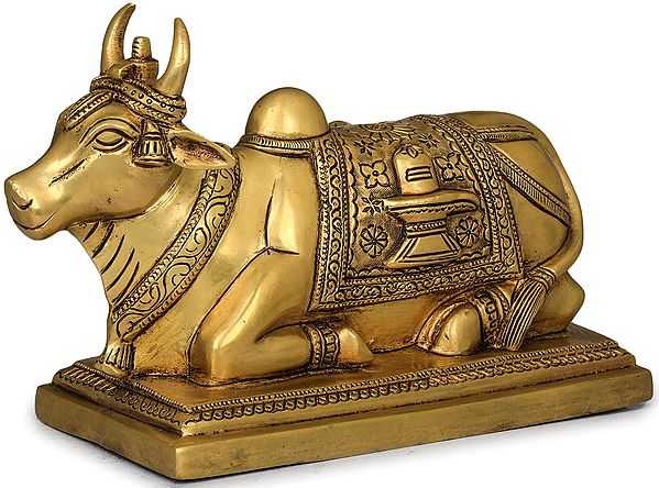 8" Nandi with Shiva Linga on His Head and Overcloth In Brass | Handmade | Made In India