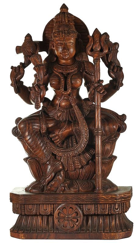 Goddess Durga of South India - Mariamman
