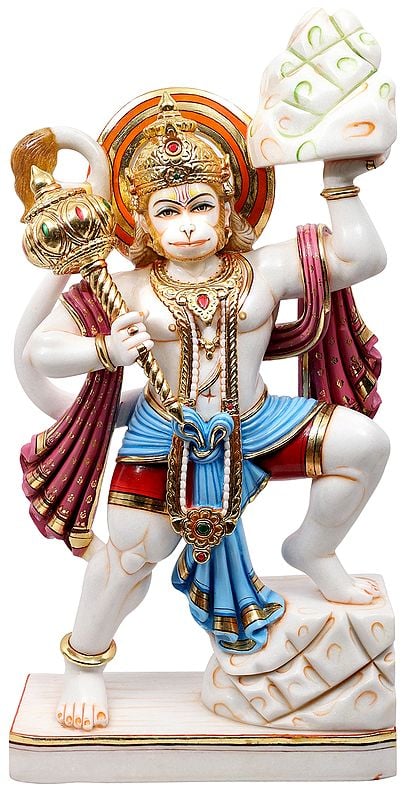 Lord Hanuman Carrying The Sanjeevni Herb