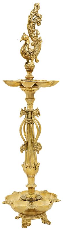 29" Designer Peacock Multi Wicks Lamp in Brass | Handmade | Made in India