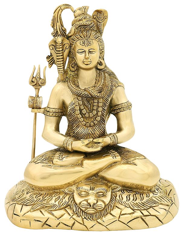 10" Lord Shiva in Deep Austerity In Brass | Handmade | Made In India