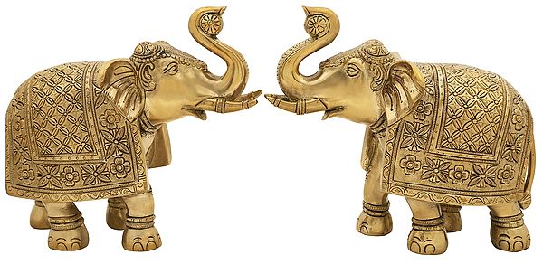 Royal Elephant Pair | Brass Elephant Statues