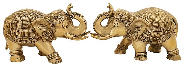 Majestic Elephant Pair | Brass Elephant Statues