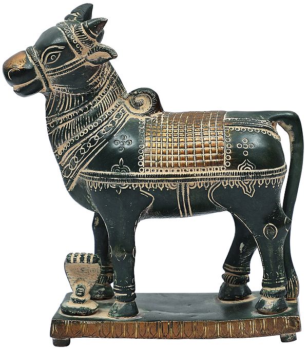 5" Standing Auspicious Nandi Sculpture in Brass | Made in India