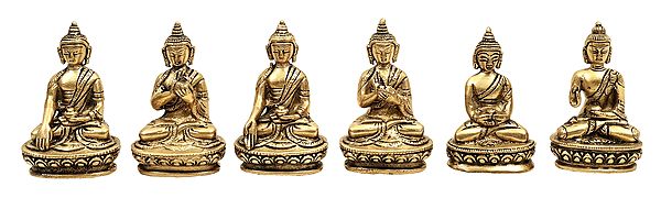 3" Various Postures of Lord Buddha In Brass | Handmade | Made In India