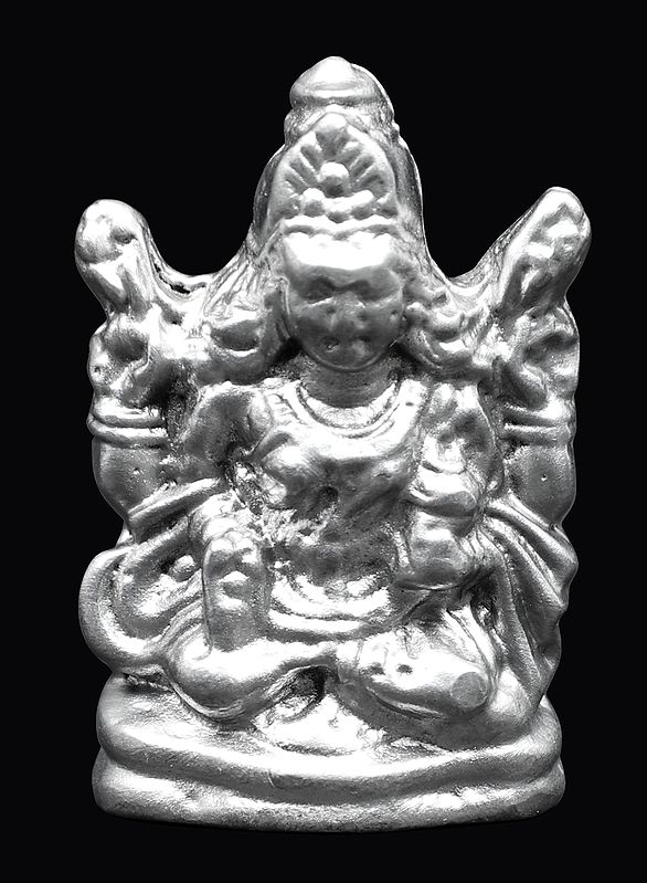 Lakshmi Ji - Goddess of Fortune and Prosperity
