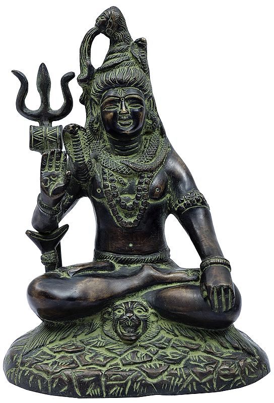 7" Lord Shiva in Ashirwad Mudra (Inferior Quality) In Brass | Handmade | Made In India