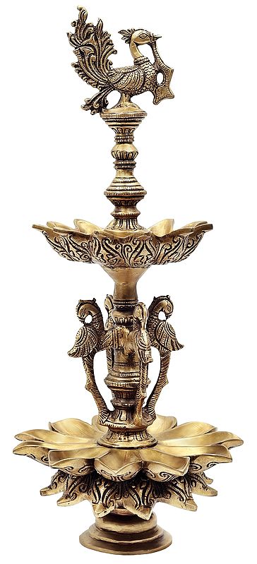 19" Beautifully Designed Twenty Two Wick Peacock Lamp In Brass | Handmade | Made In India