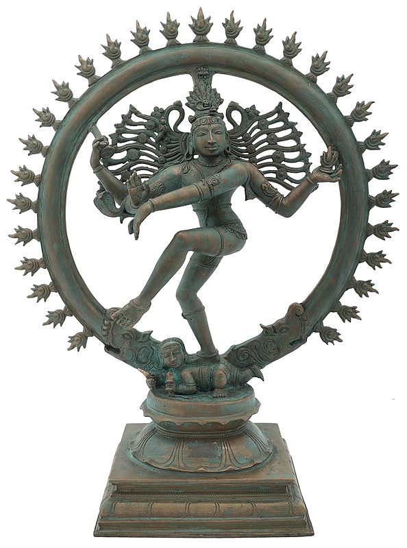 14" Lord Nataraja, A Flawless Rendition | Handmade | Madhuchista Vidhana (Lost-Wax) | Panchaloha Bronze