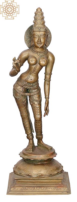 18" Sivagami (Goddess Uma) | Handmade | Madhuchista Vidhana (Lost-Wax) | Panchaloha Bronze from Swamimalai