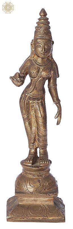 6" Devi Sivagami (Devi Uma) | Handmade | Madhuchista Vidhana (Lost-Wax) | Panchaloha Bronze from Swamimalai