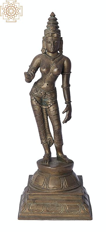 9" Sivagami (Goddess Uma) | Handmade | Madhuchista Vidhana (Lost-Wax) | Panchaloha Bronze from Swamimalai