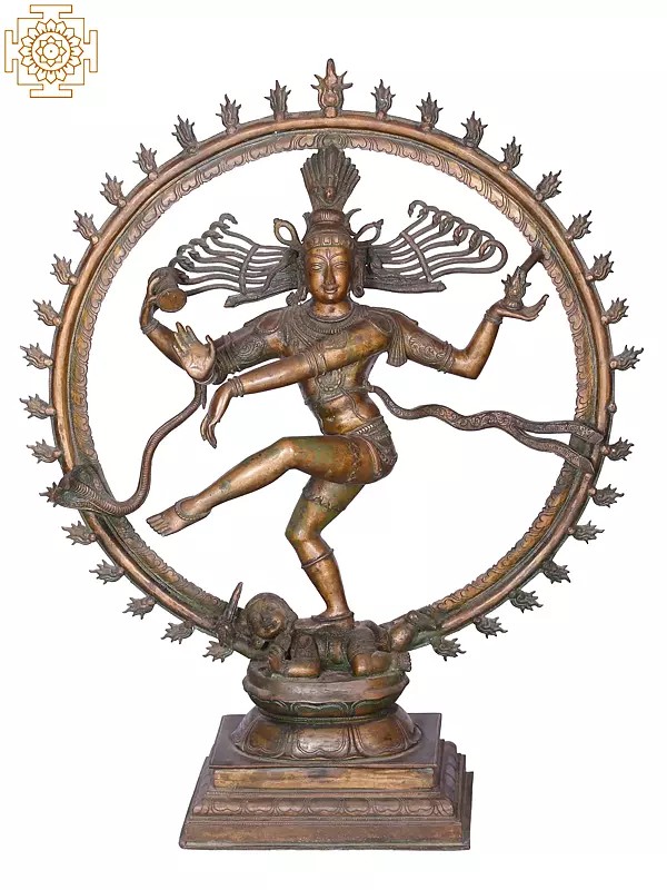 35" Large Lord Nataraja Bronze Statue | Madhuchista Vidhana (Lost-Wax) | Panchaloha Bronze from Swamimalai