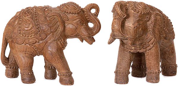A Pair of Elephants with Upraised Trunks (Supremely Auspicious according to Vastu)