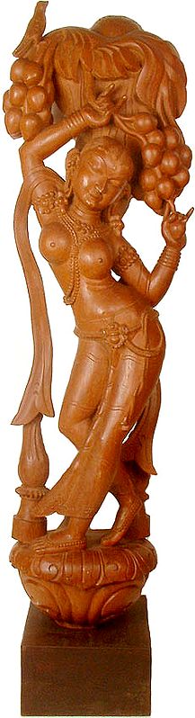 Apsara (A Fine Specimen of Nepalese Craftsmanship)
