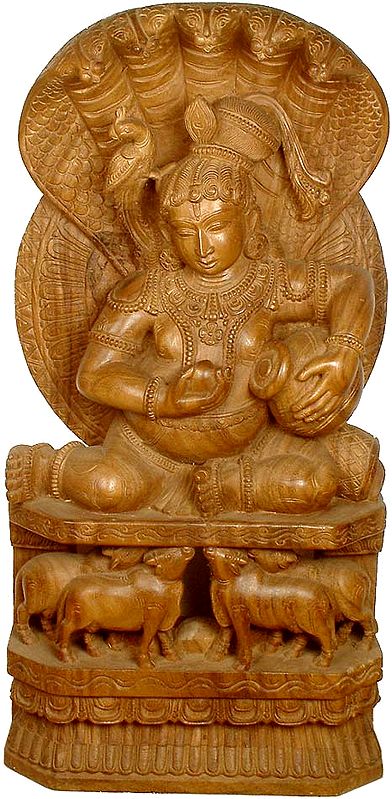 Navaneeta Krishna