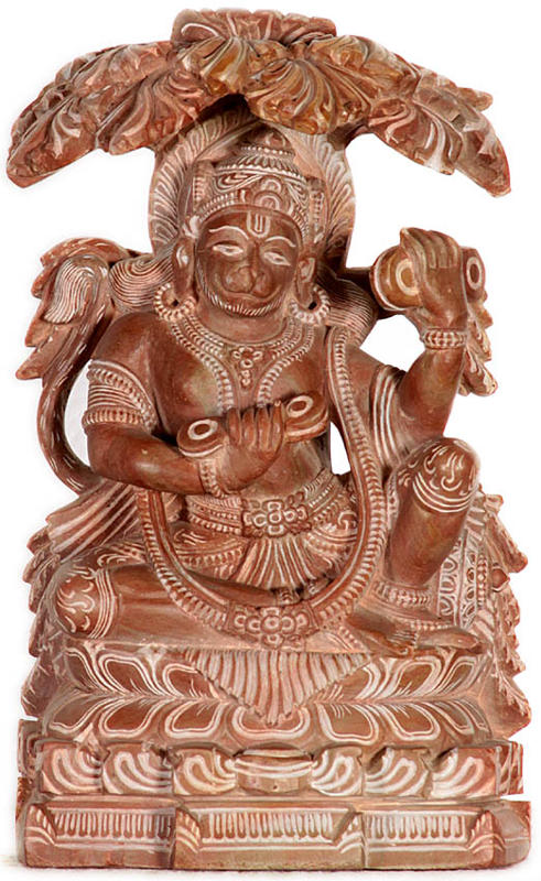 Bhakta Hanuman Singing the Glory of Lord Rama