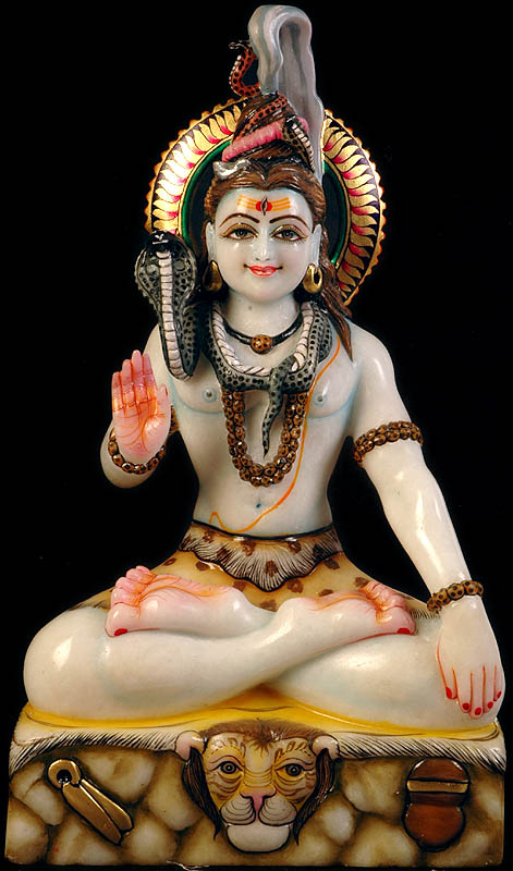 Bhava Shiva (A Particularly Beneficent Aspect)