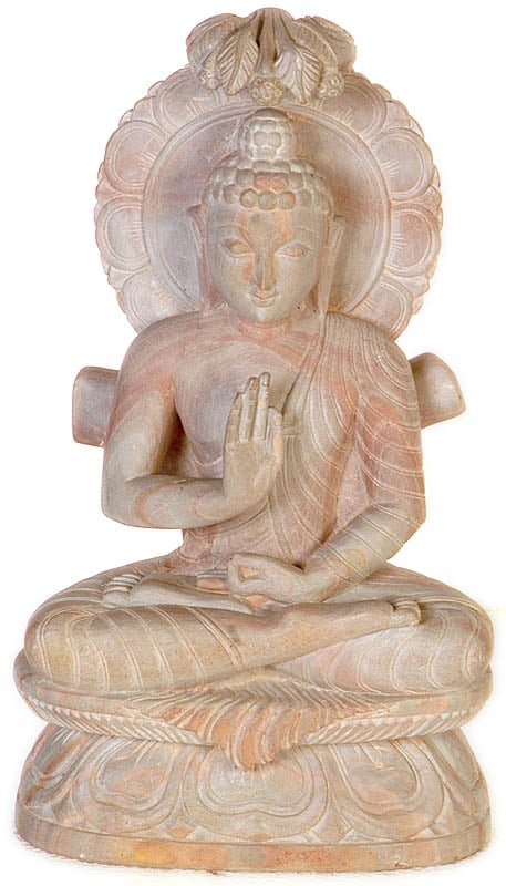 Blessing Buddha Under Bodhi Tree