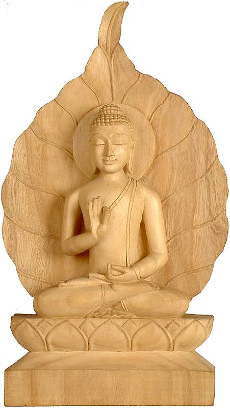 Buddha Blesses His devotees Against a Banyan Leaf Aureole